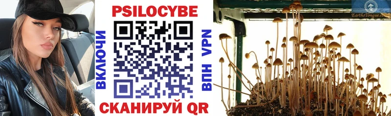 площадка официальный сайт  Кологрив  Галлюциногенные грибы Magic Shrooms 